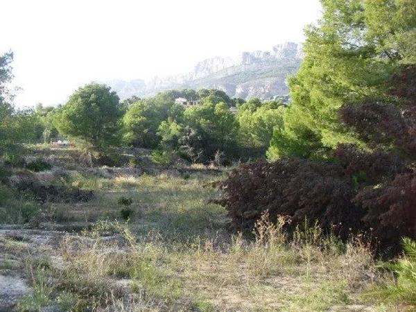 Terreno en Zona de Mascarat