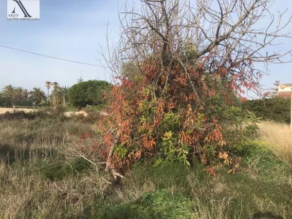 Terreno en Barrio Virgen del Remedio - Parque lo Morant