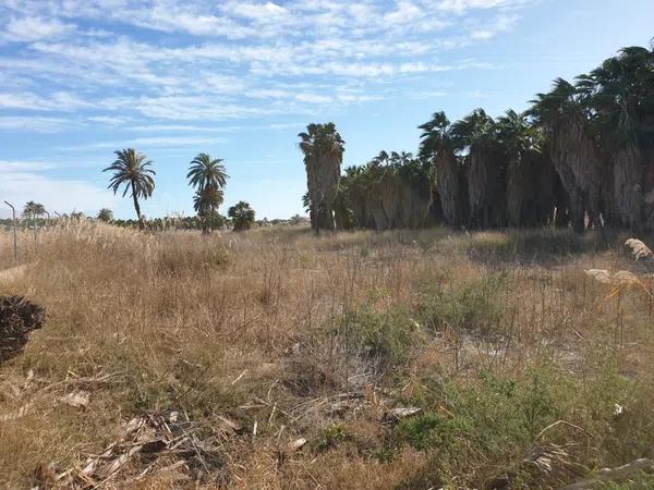 Terreno en La Hoya-Daimes-El Derramador