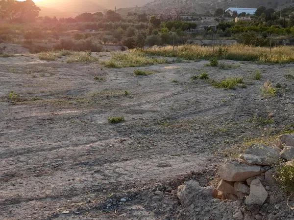 Terreno en via Pista, km 1