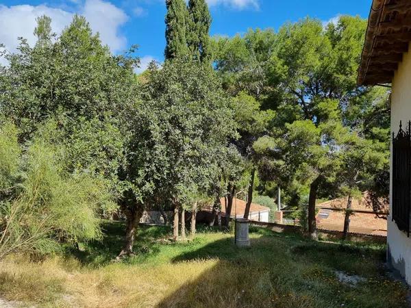 Terreno en calle Publicista Víctor Viñés, 14 [a]