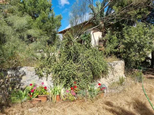 Terreno en calle Publicista Víctor Viñés, 14 [a]