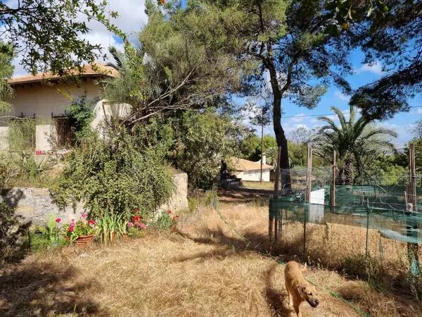 Terreno en calle Publicista Víctor Viñés, 14 [a]