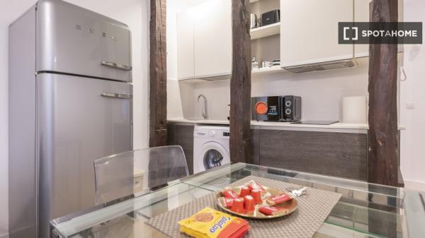 Apartamento T1 inteiro em Madrid