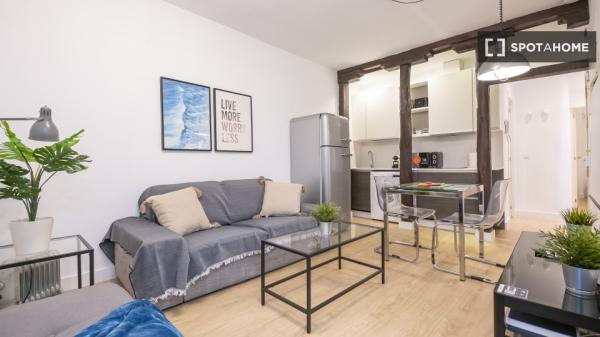 Apartamento T1 inteiro em Madrid