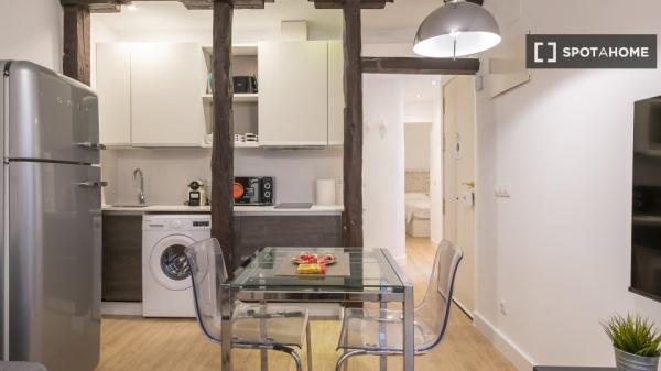 Apartamento T1 inteiro em Madrid