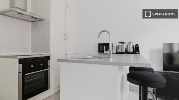 Apartamento estúdio para alugar em Madrid