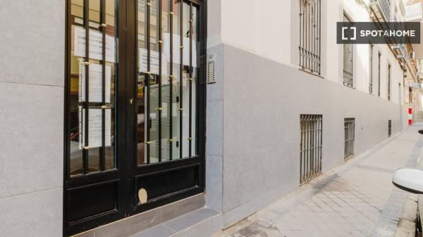 Apartamento estúdio para alugar em Madrid