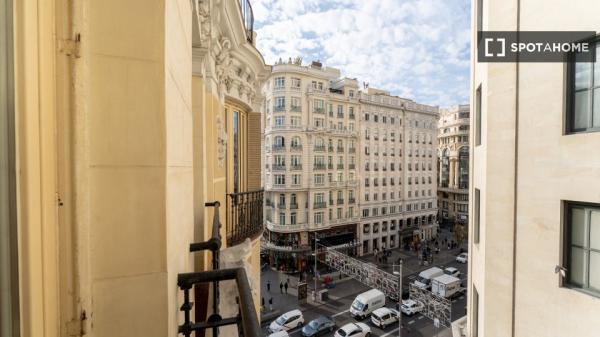 Superbe chambre à louer à Madrid