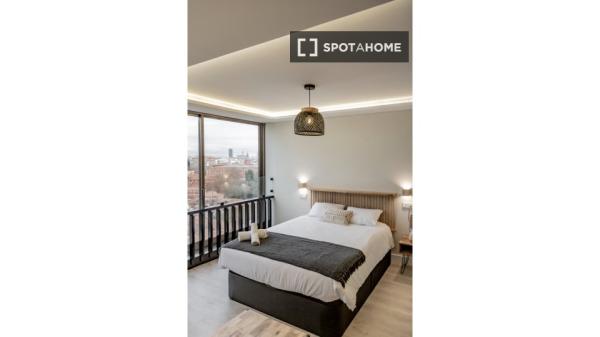 Beautiful studio located in Madrid