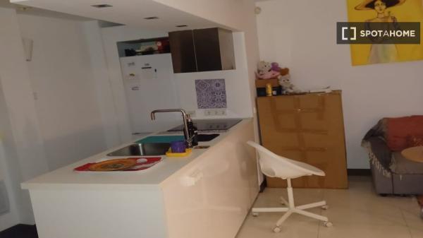 Apartamento entero de 1 habitaciones en Madrid